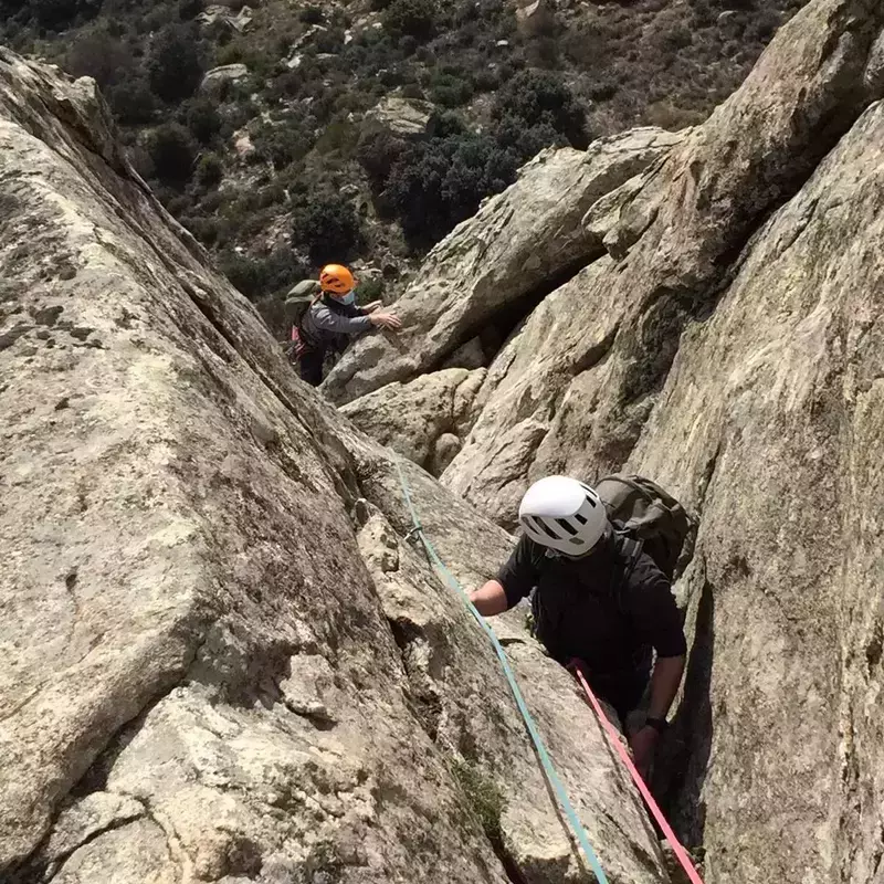 Navigation bar avatar